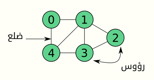 الخوارزمية أنواع لتمثيل البيانية نوع من المخططات يستخدم نوع من